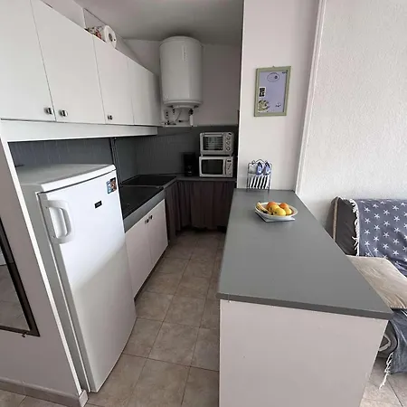 Appartement Cosy 4 Pers Avec Parking A Port Camargue - Fr-1-731-103 *
