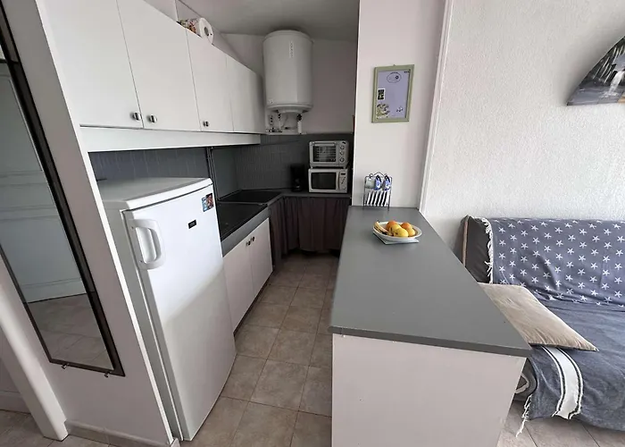 Apartment Cosy 4 Pers Avec Parking A Port Camargue - Fr-1-731-103 *